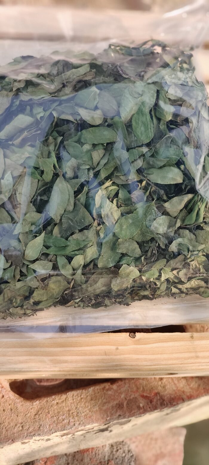 Jangli kadipaata (जंगली कड़ीपता) 50gm