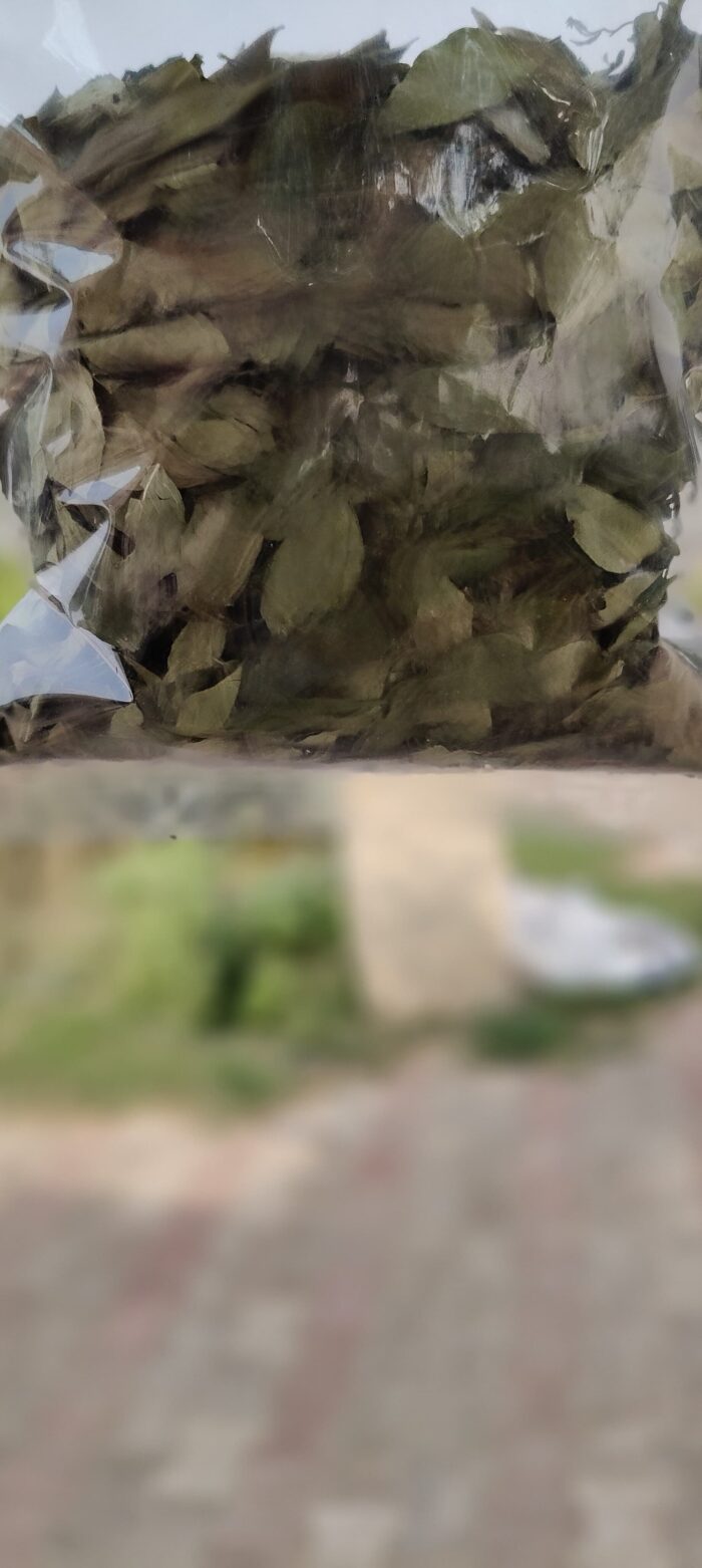 Jangli kadipaata (जंगली कड़ीपता) 50gm - Image 3