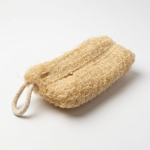 Plastic Free ,Loofah Dish Scrubber Pack of 4 ,